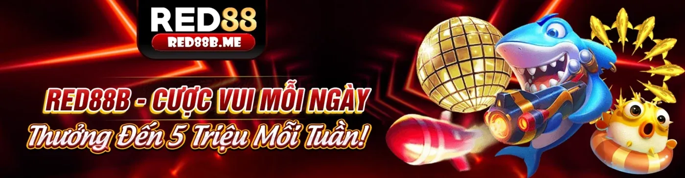 Tổng quan các chương trình khuyến mãi và hỗ trợ khách hàng của 566win trang chủ chính thức
