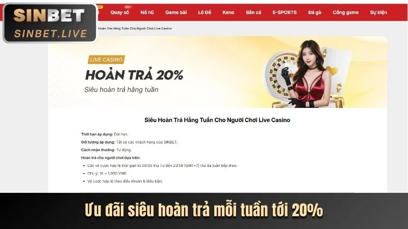 Chương trình VIP độc quyền 566win